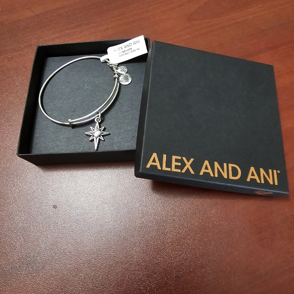 Alex and Ani Silver North Star Energy Charm Bracelet